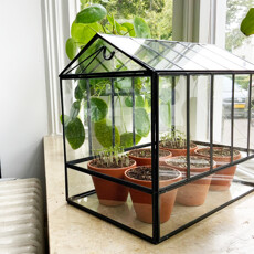 Greenhouse Terrarium Glas