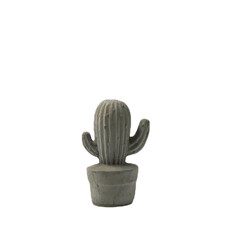 Cactus Cement